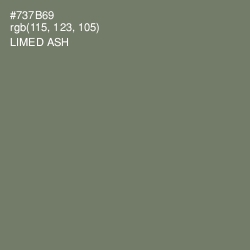 #737B69 - Limed Ash Color Image